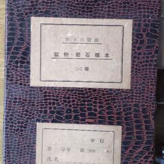 【中古】顕微鏡/標本32種/クロッキー等３種の画像