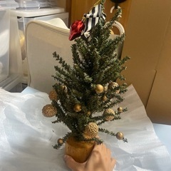 ニコアンド　クリスマスツリー小の画像