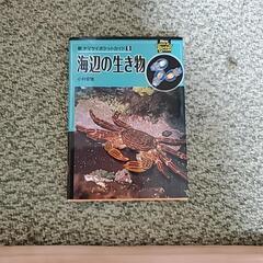 海辺の生き物図鑑