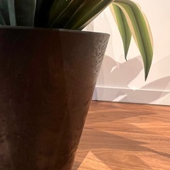 ②ダークグリーン　※鉢付き　フェイクグリーン　モンステラ　人工観葉植物　の画像