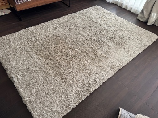 引き取りに来てくれる方限定　カーペット
