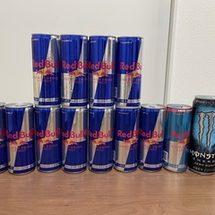 【引き渡し予定】レッドブル　REDBULL