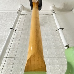 ストラトキャスター　レリック
の画像
