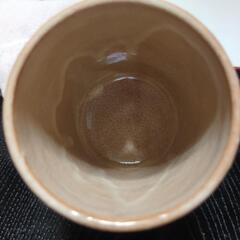 湯呑みの画像