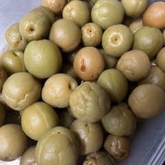 無料　カリカリ梅　梅酒の実　1kg
