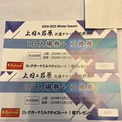 上国　岩原　リフト券　ナイター付き　チョコ付き　ペア　1日券