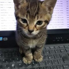 私と同じ、天界孤独の女性の方 − 千葉県