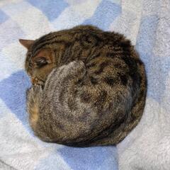 私と同じ、天界孤独の女性の方 - チャット
