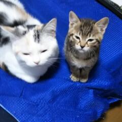 私と同じ、天界孤独の女性の方 - メンバー募集
