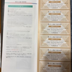 南知多ビーチランド&南知多おもちゃ王国　リトルワールド　日本モンキーパーク(遊園地部分のみ) 入場券の画像