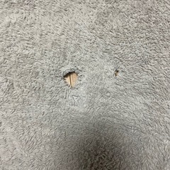 コストコ　ブランケットの画像