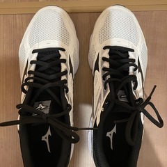 ミズノ　ランニングシューズ　28センチの画像