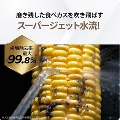 【新品未開封】YAMANジェットフロスコンパクト(ジェットフロスノズル用UV除菌ケース付き)の画像