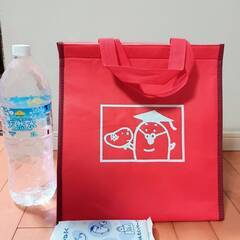 保冷バック（大）　めんたいパーク　保冷剤付き