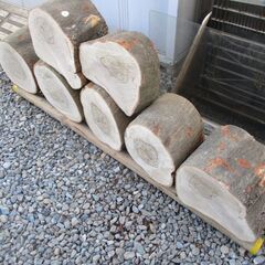 ■(完売) :丸太・樫( カシ ) の広葉樹-2・・圧巻の重厚感と強度最強クラスの画像