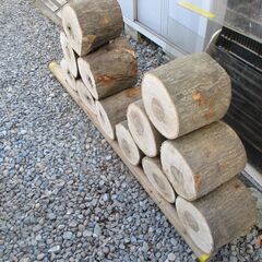 ■(完売) :丸太・樫( カシ ) の広葉樹-3の画像