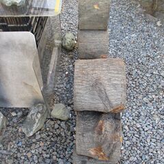 ■(完売) :丸太・樫( カシ ) の広葉樹-3の画像