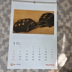 Mauritshuis Special Selection 2025 壁掛けの画像