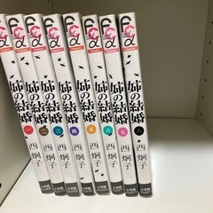マンガ、姉の結婚1〜8巻完