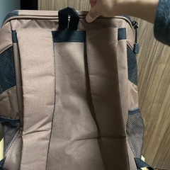 猫　キャリーリュックの画像