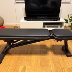 インクラインベンチ　ダンベル　セット 筋トレ