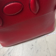 新品未使用　バッグ　赤の画像