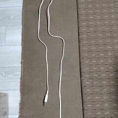 【100円×2本】電源タップ