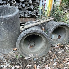 土管差し上げます。