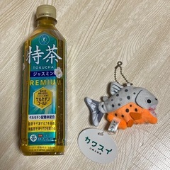 【新品・タグ付き】カワスイ ★ 川崎水族館　ぬいぐるみ キーホルダーの画像