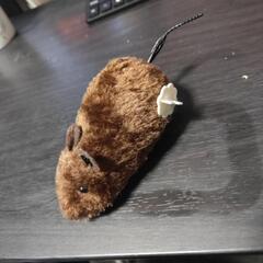 猫ちゃんの玩具