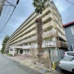 🏡🐶🐈オール電化　ペット飼育相談可　リフォーム済3LDKマンショ...