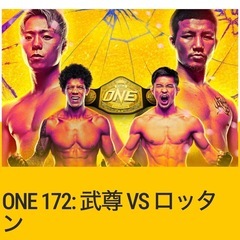 武尊試合チケット