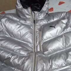 プーマブルゾンの画像