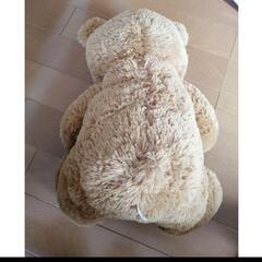 テディベアの画像