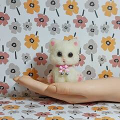 白い可愛い子ねこちゃん　羊毛の画像