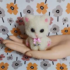 白い可愛い子ねこちゃん　羊毛の画像