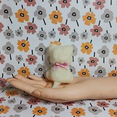 白い可愛い子ねこちゃん　羊毛の画像