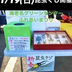 メダカ｜地域/お祭りのイベント情報｜ジモティー