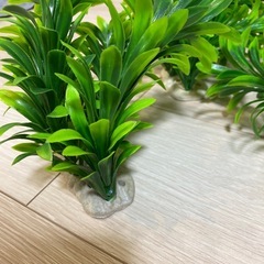 人工水草の画像