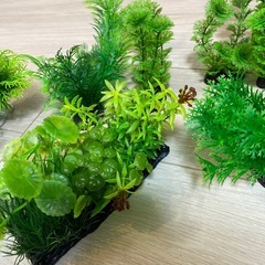 人工水草まとめ売りの画像