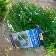 人工水草まとめ売り②の画像