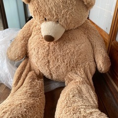 コストコ ぬいぐるみ くまの中古が安い！激安で譲ります・無料で