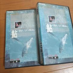 鮎釣りDVD 小澤剛 背バリ新極意 おまけ付きの画像