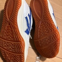 松原第五中学　体育館シューズ22.5の画像