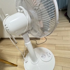 【無料‼️】扇風機　アイリスオーヤマ