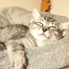 たくさんのお問い合わせありがとうございました。