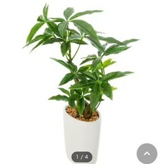 【無料🌸】インテリア　フェイクグリーン🌱の画像