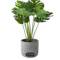 【無料🌸】インテリア　フェイクグリーン🌱の画像