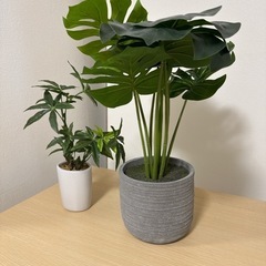 【無料🌸】インテリア　フェイクグリーン🌱