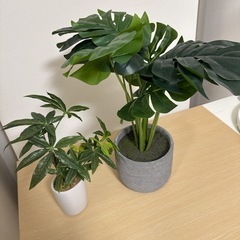 【無料🌸】インテリア　フェイクグリーン🌱の画像